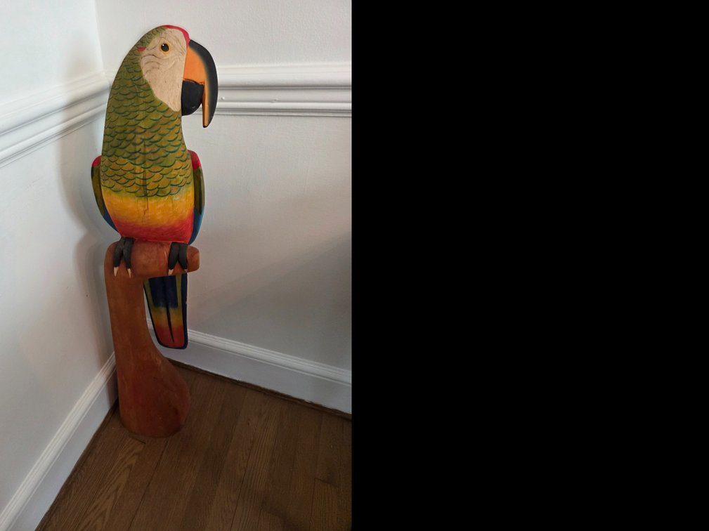 Large Parrot  Perched  on a Stand