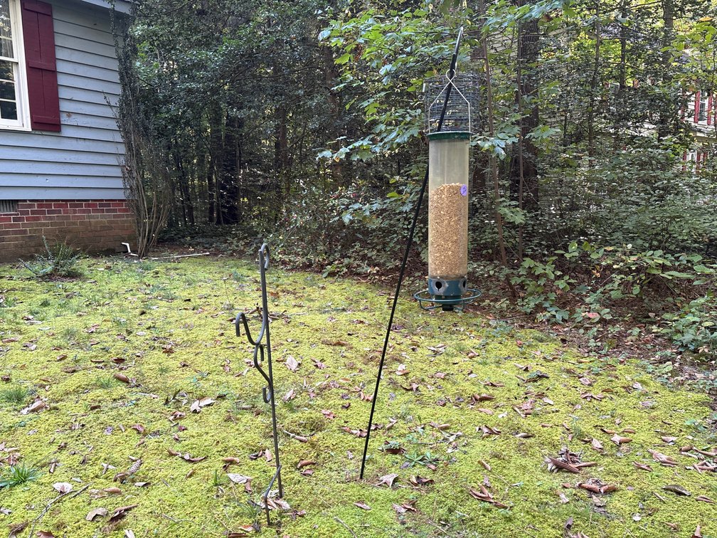 Metal garden shepherd's hooks / bird feeder poles