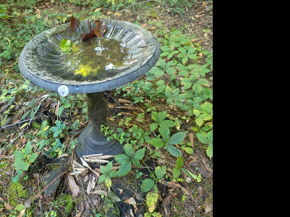 Metal Birdbath