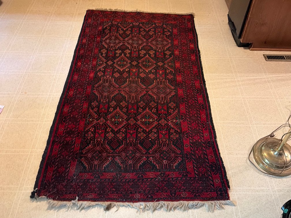 Vintage Hand-Knotted Style Wool Area Rug with Fringe