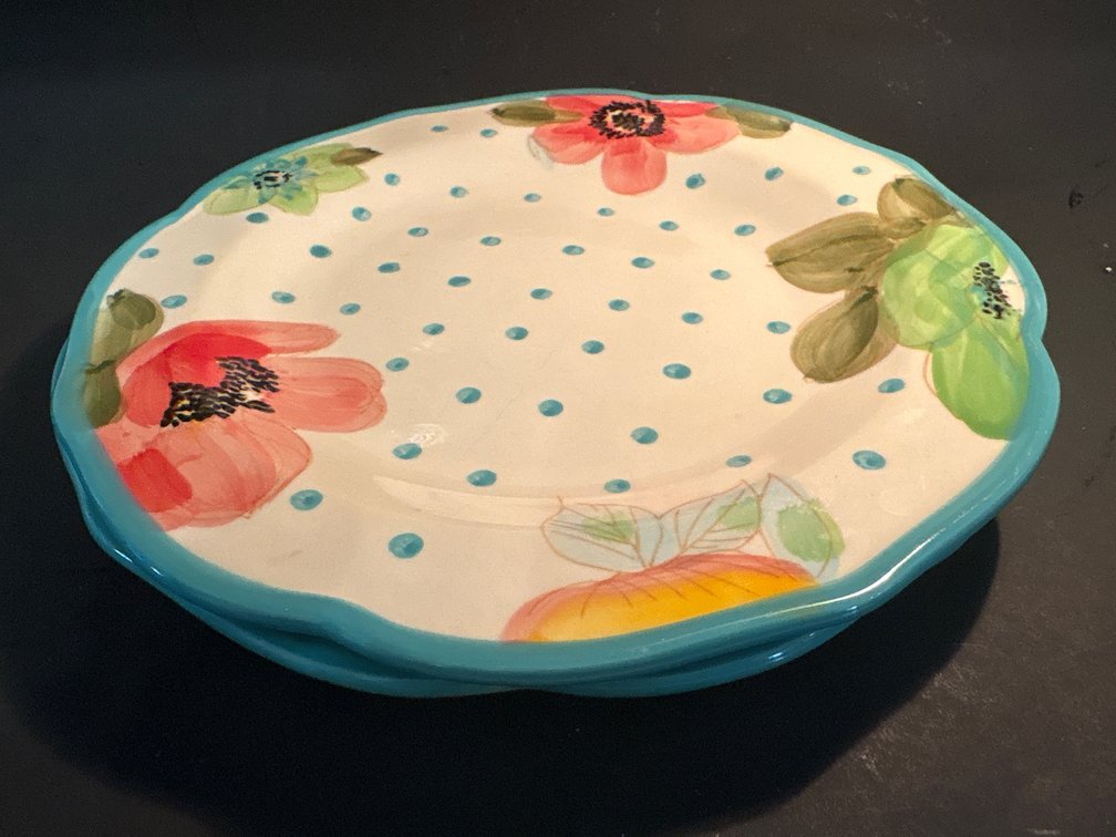 2 Pioneer Woman Plates & Pottery Plate