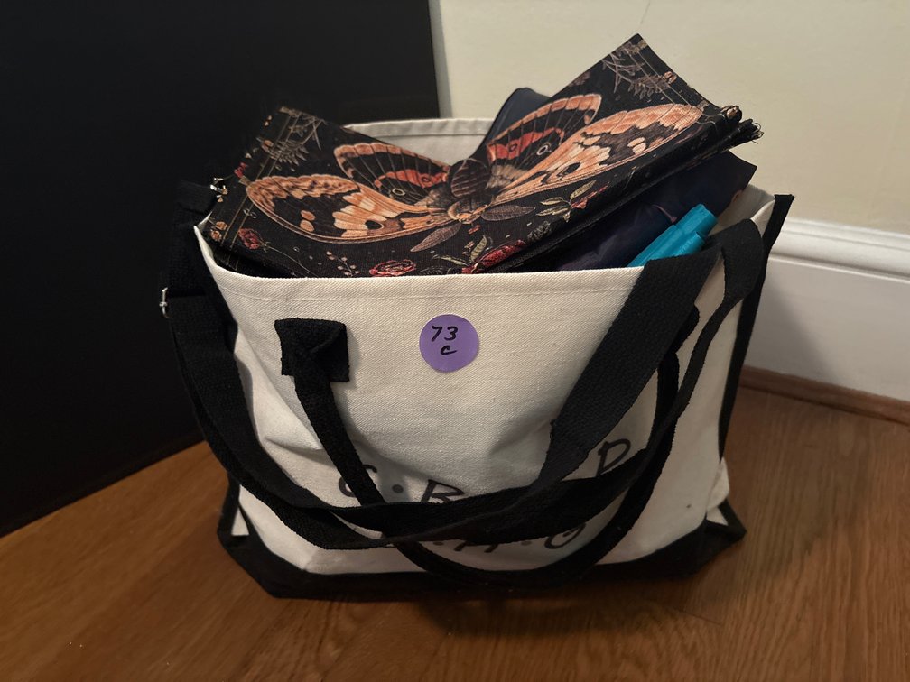 Bag of Zippered Bags/Pillow Cases