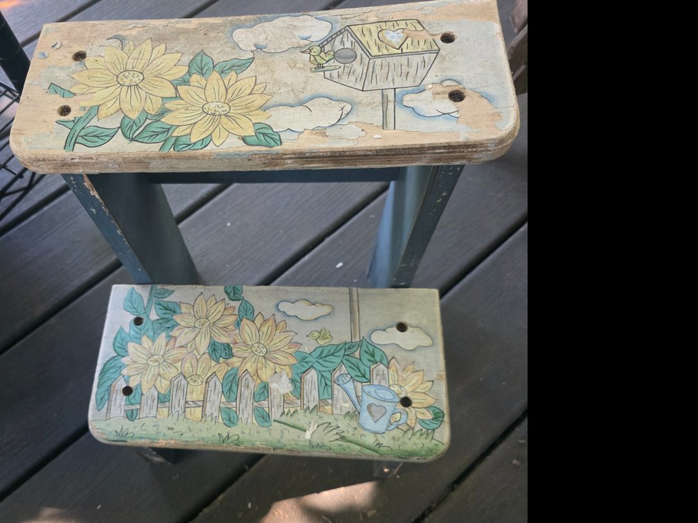 Wood Child Painted Step Stool