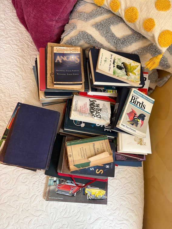 Various Book Lot