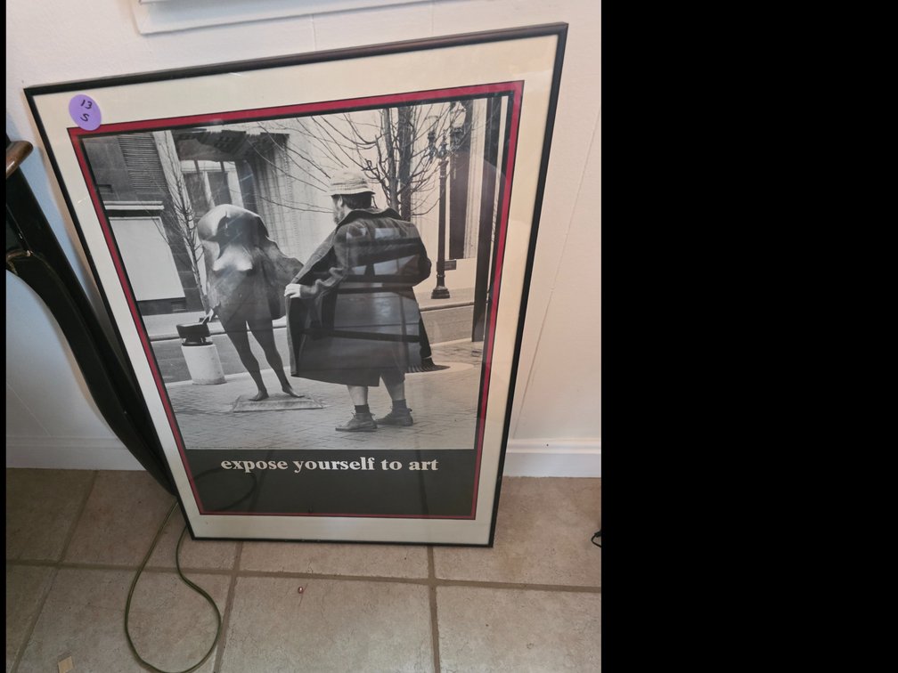 Vintage 1981 Mike Ryerson Poster Print Flasher Expose Yourself To Art - Flashes