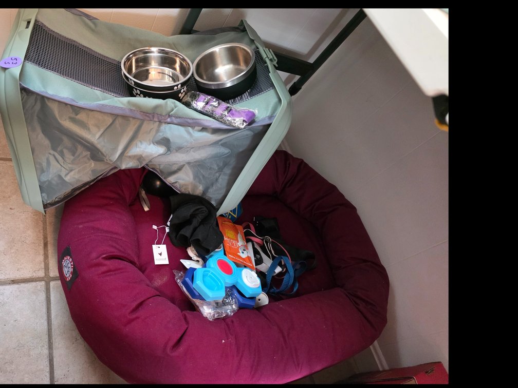 Pet Accessories,  Bed, Feeding bowls, etc