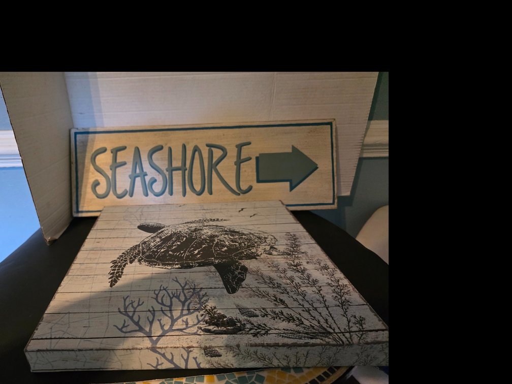 Wall Decor,  Turtle  on Canvas, Seashore on Wood