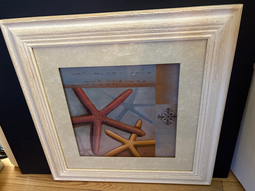 Framed Coastal Starfish Wall Art In Frame