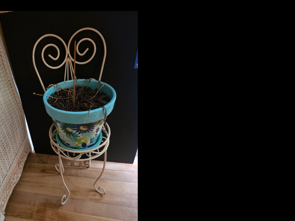 Vintage white metal ice cream parlor-style chair planter Standwirh Painted Planter Pot