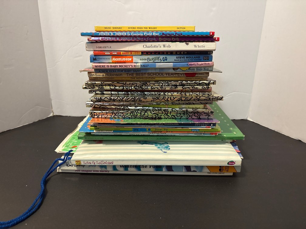Children’s Book Lot