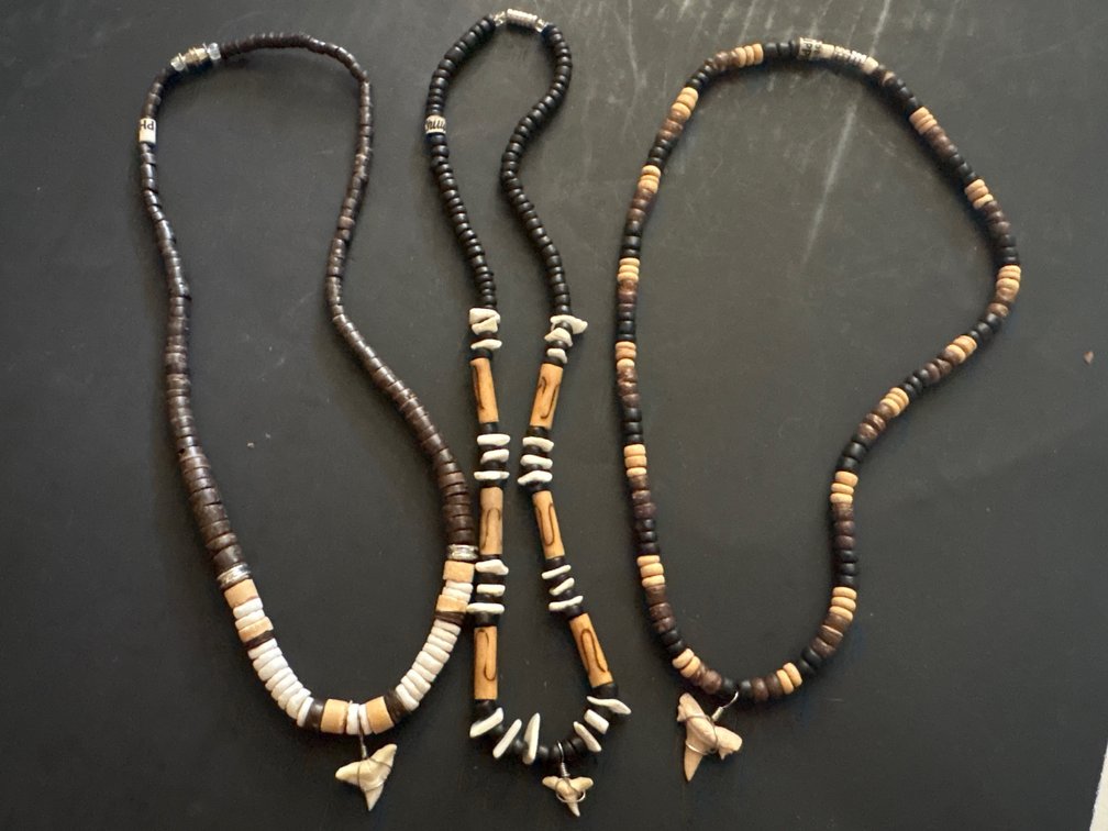 Shark Tooth Beaded Necklace (3)