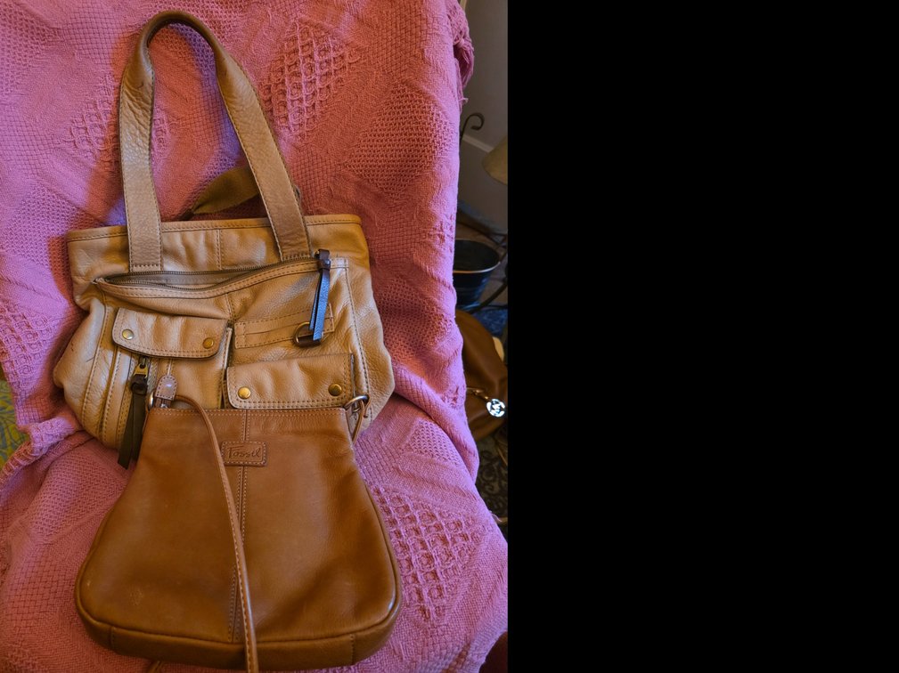Fossil Hand Bags