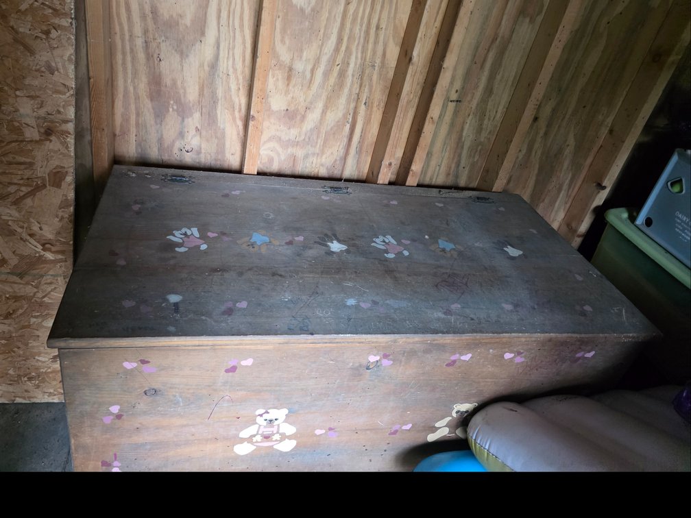 Large wood Toy Box, with Contents