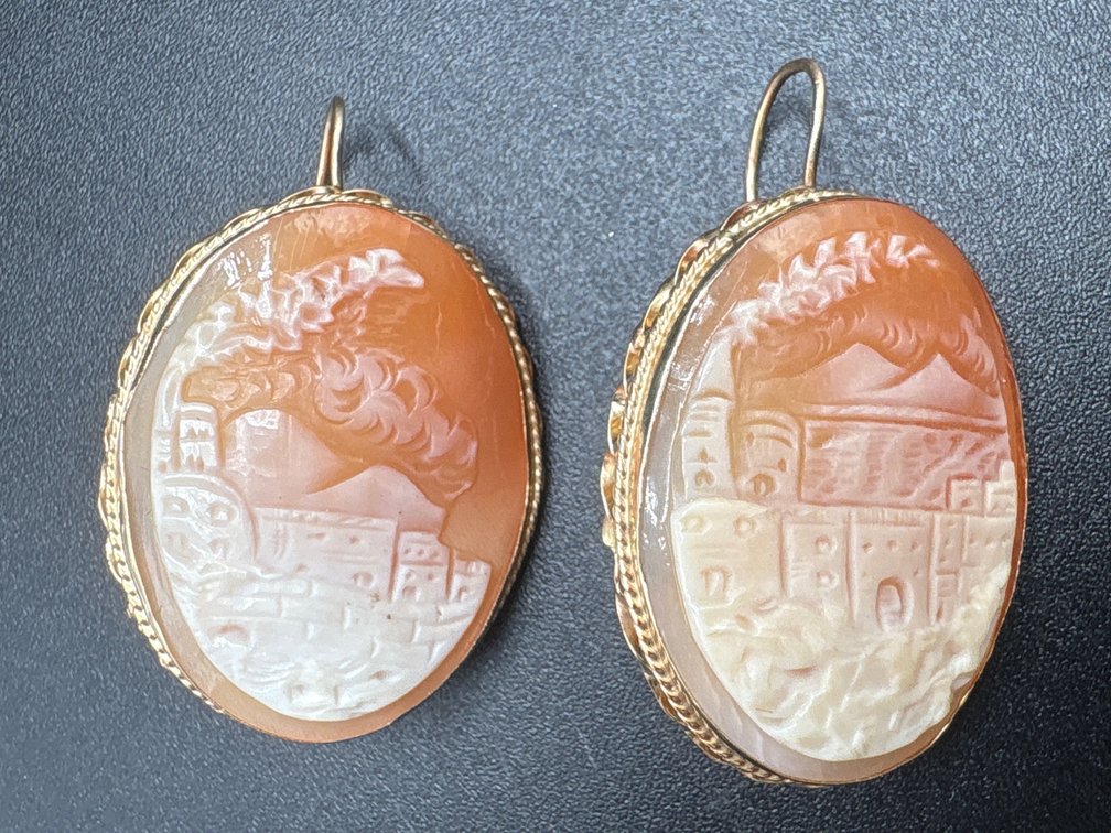 Cameo Earrings (possible gold)