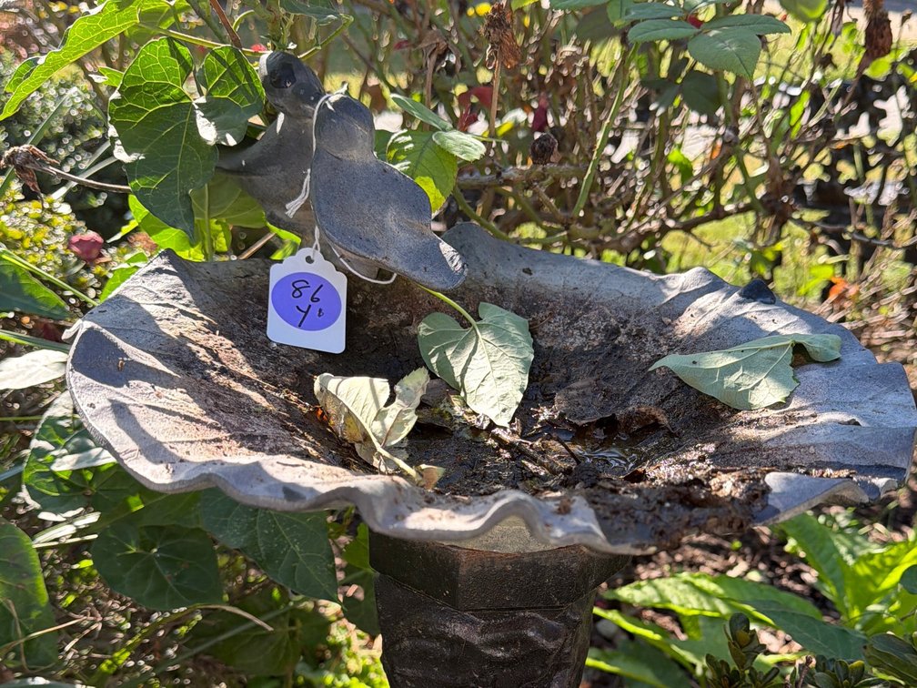 Cast Iron Bird Bath