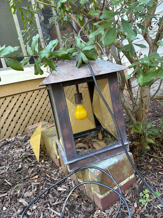 Outdoor Garden Lantern Light with Bug Light Bulb