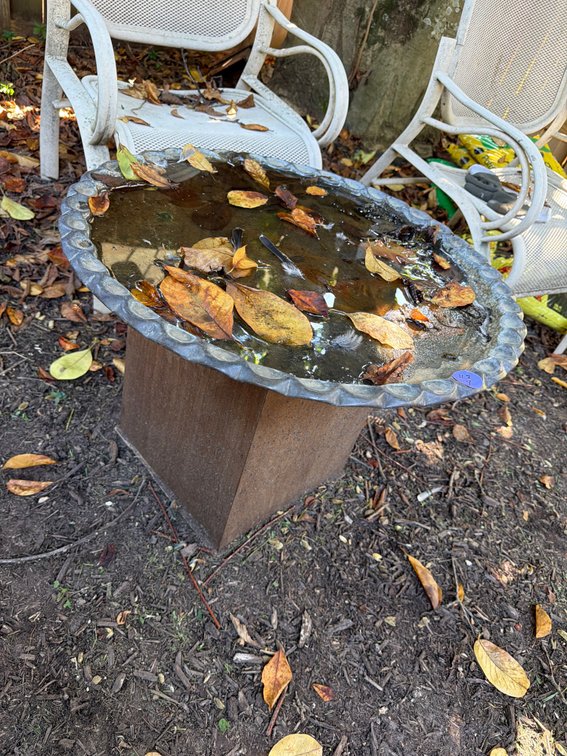 Outdoor Bird Bath with Bowl and Base