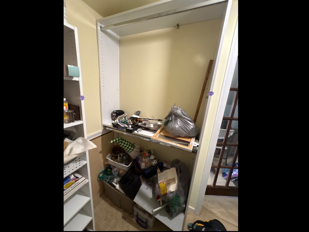 Shelf and Contents