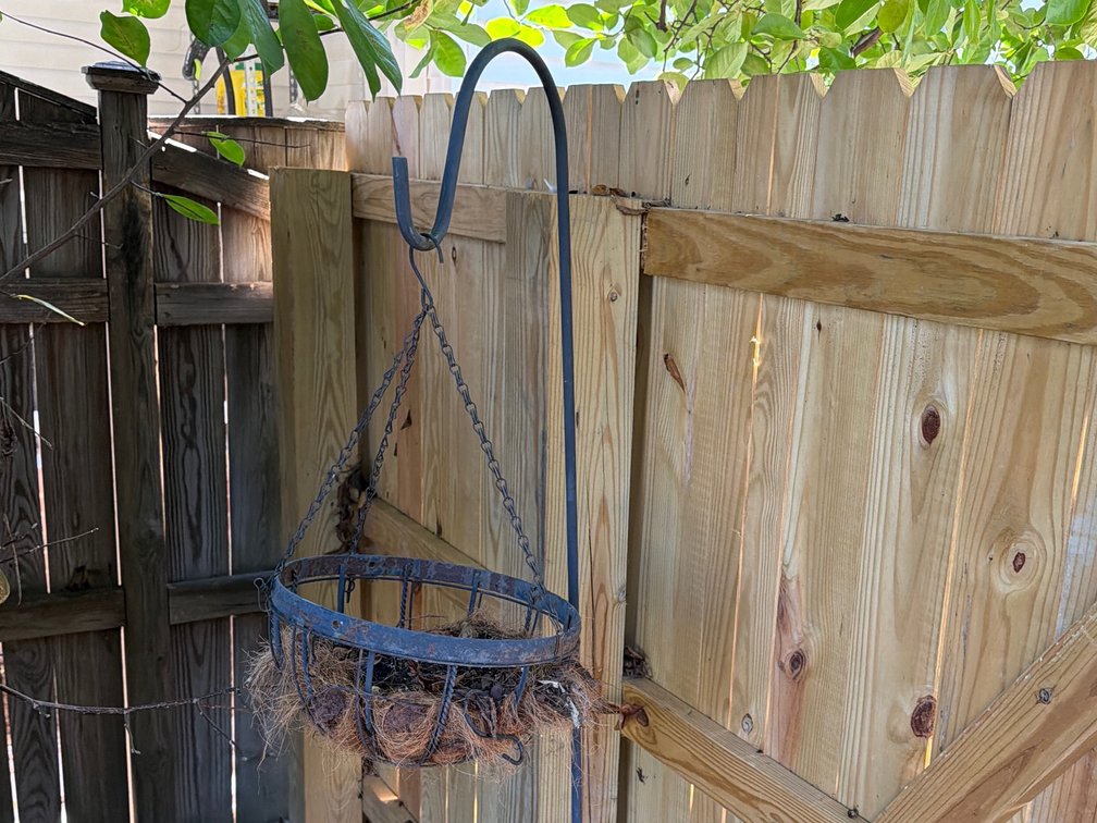 Set of 2 Shepherds Hooks & Hanging Planters