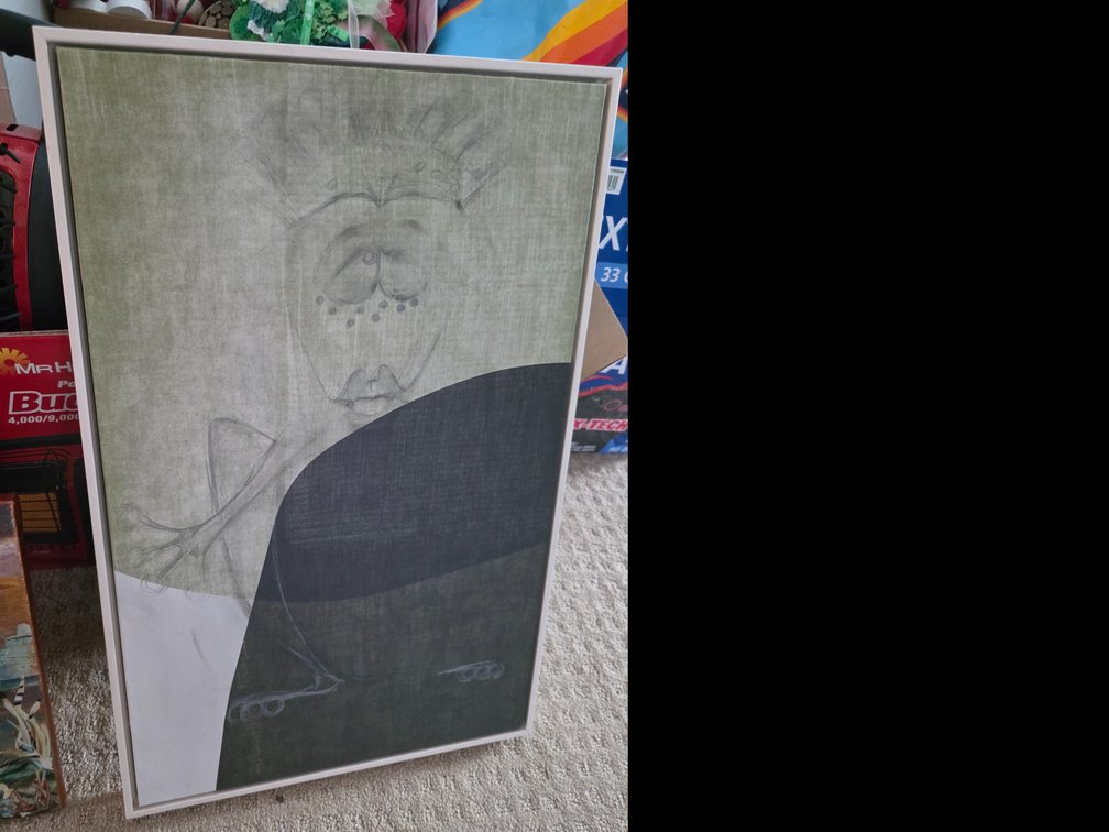 Framed  Abstract,  Frogs on Canvas, etc