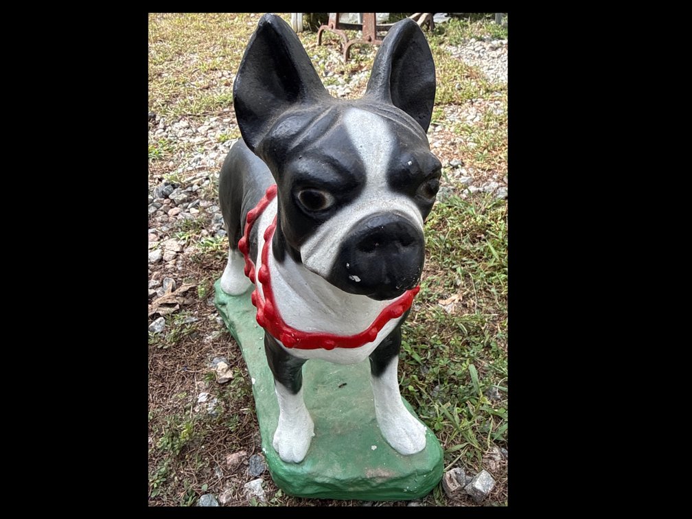 Cast iron Boston Terrier Door Stop