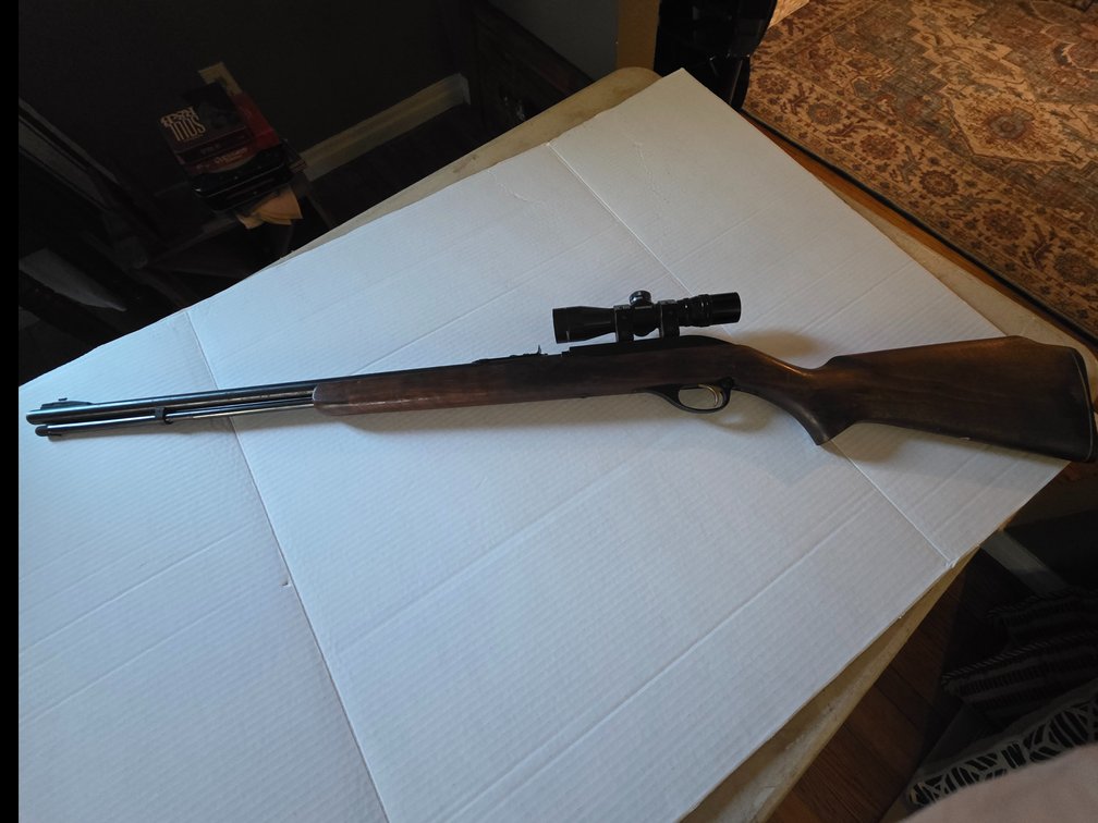 Marlin Rifle with Bushnell Scope