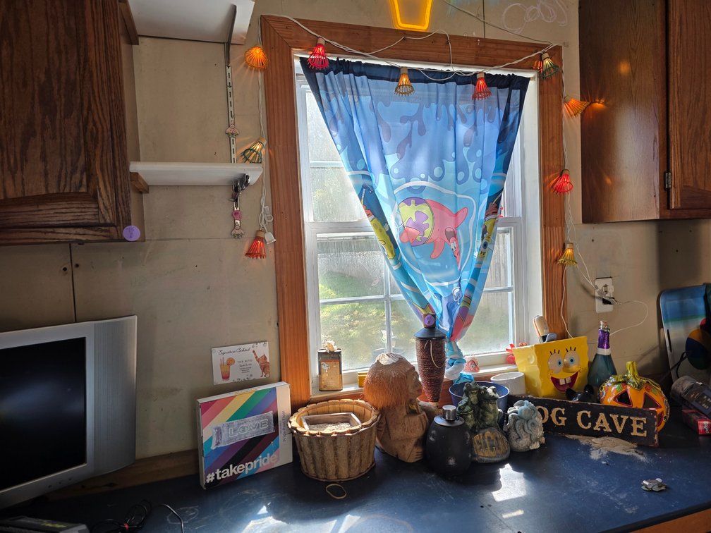 Decore Lot, light up Cactus,  Pumpkin, Tiki Torch, all devore Around  on Window