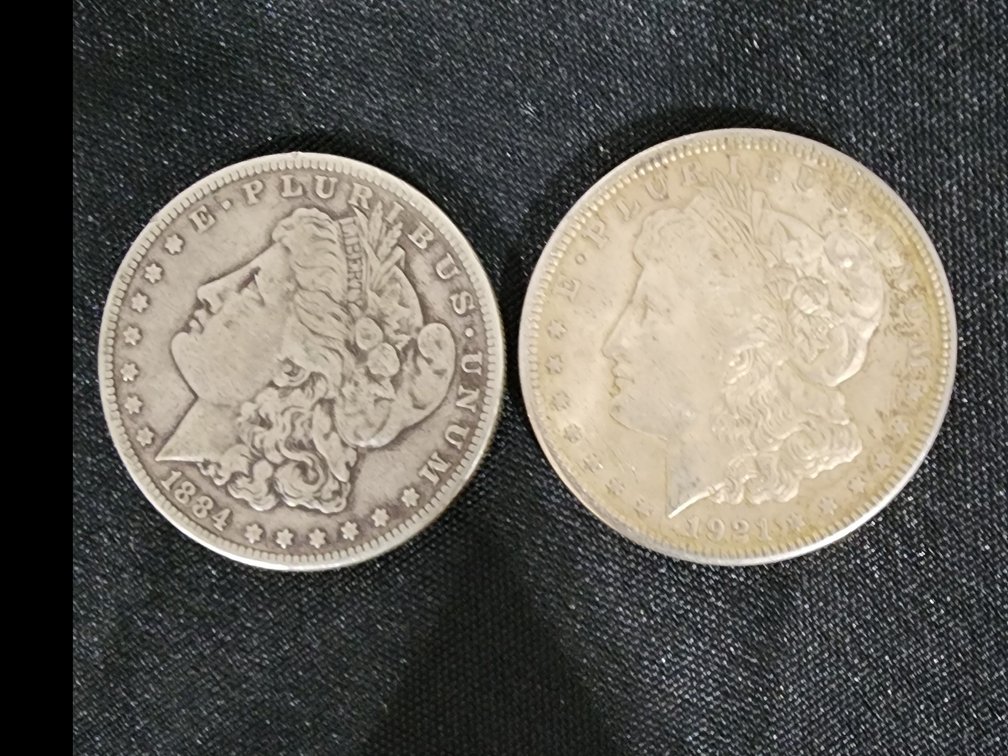 Morgan Silver Dollars 
