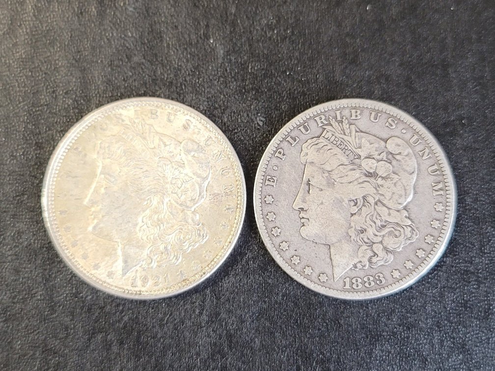 Morgan Silver Dollars (2)