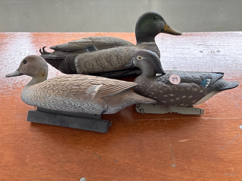 Assorted Duck Duck Decoys