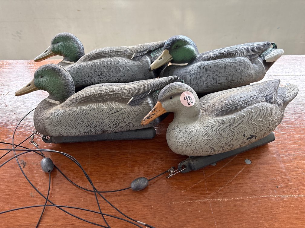 Assorted Duck Duck Decoys With Weights and Lanyards