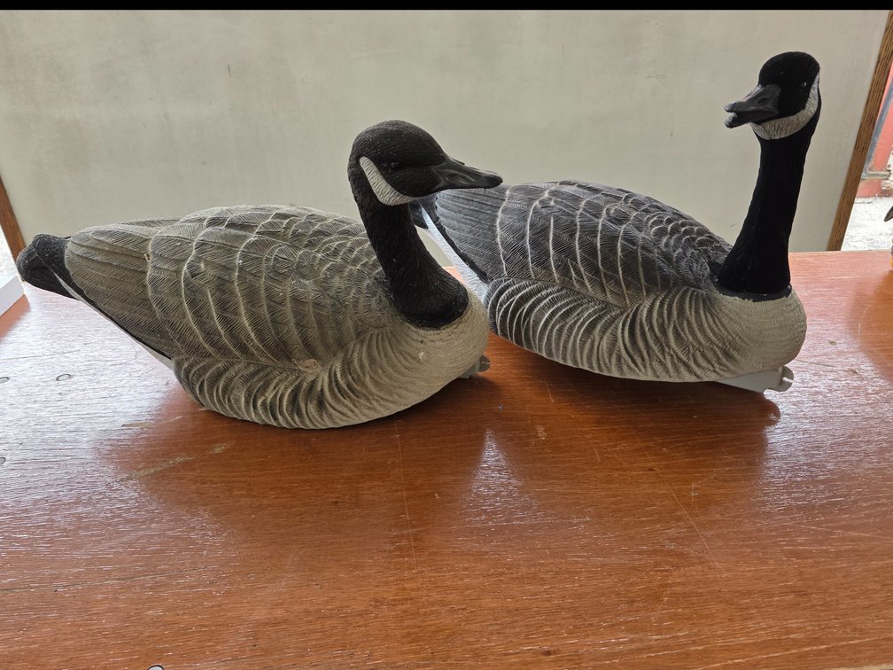 Final Aproach Goose Decoys