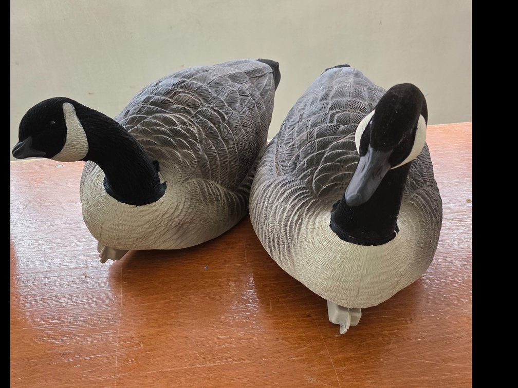 Final Aproach Goose Decoys 24" X 13"
