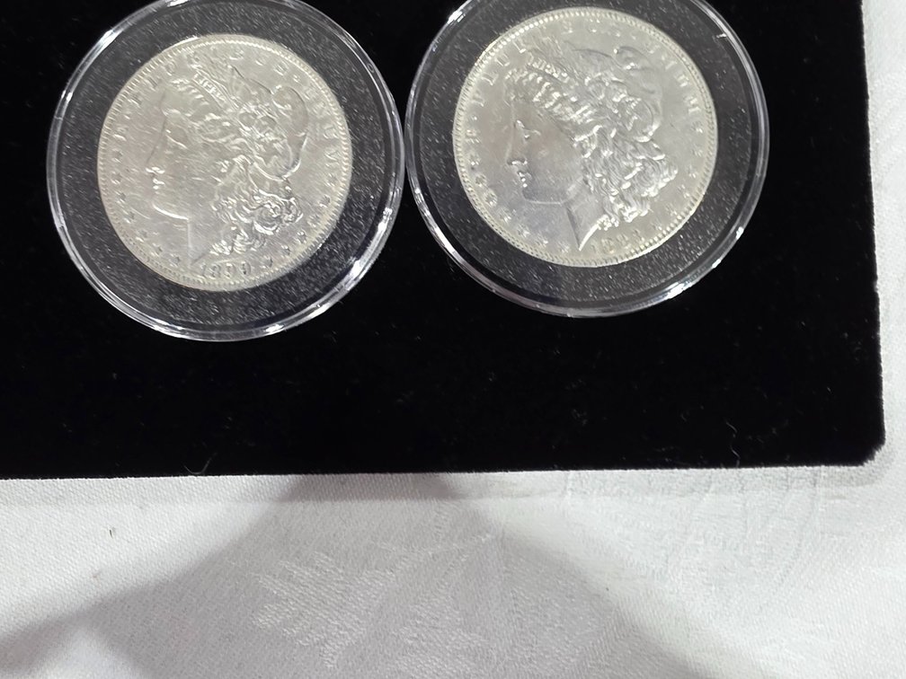 Morgan Silver Dollars