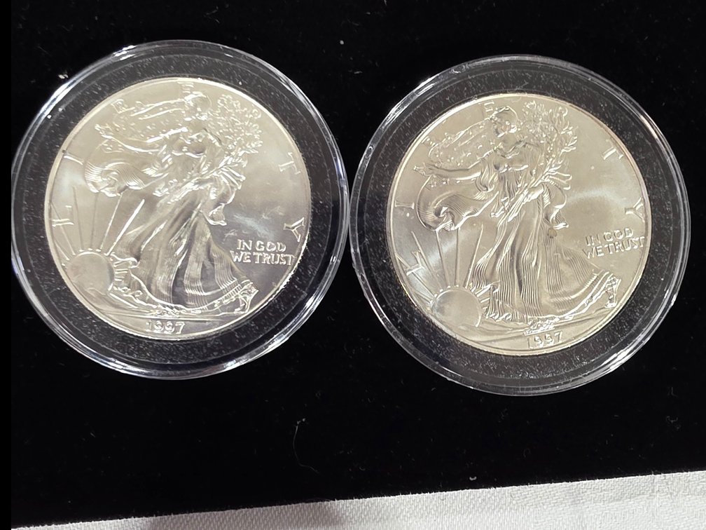 1 Ounce Silver Eagles