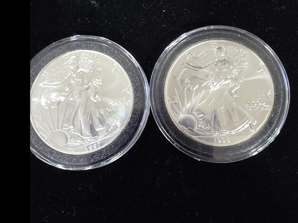 1 Ounce Silver Eagles 