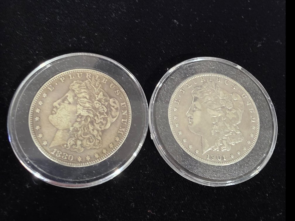 Morgan  Silver Dollars
