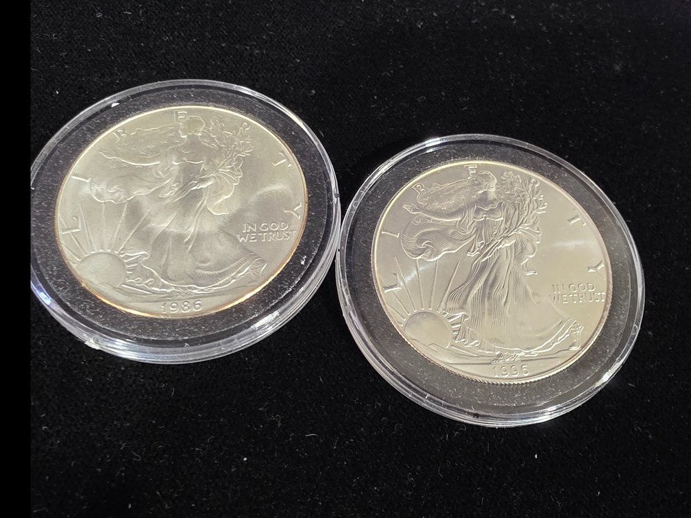 1 Ounce Silver Eagles 