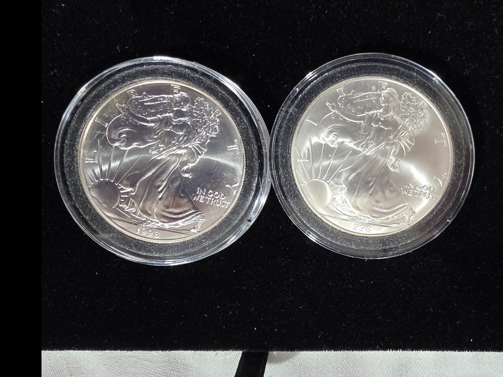 Walking Liberty Silver Eagles 