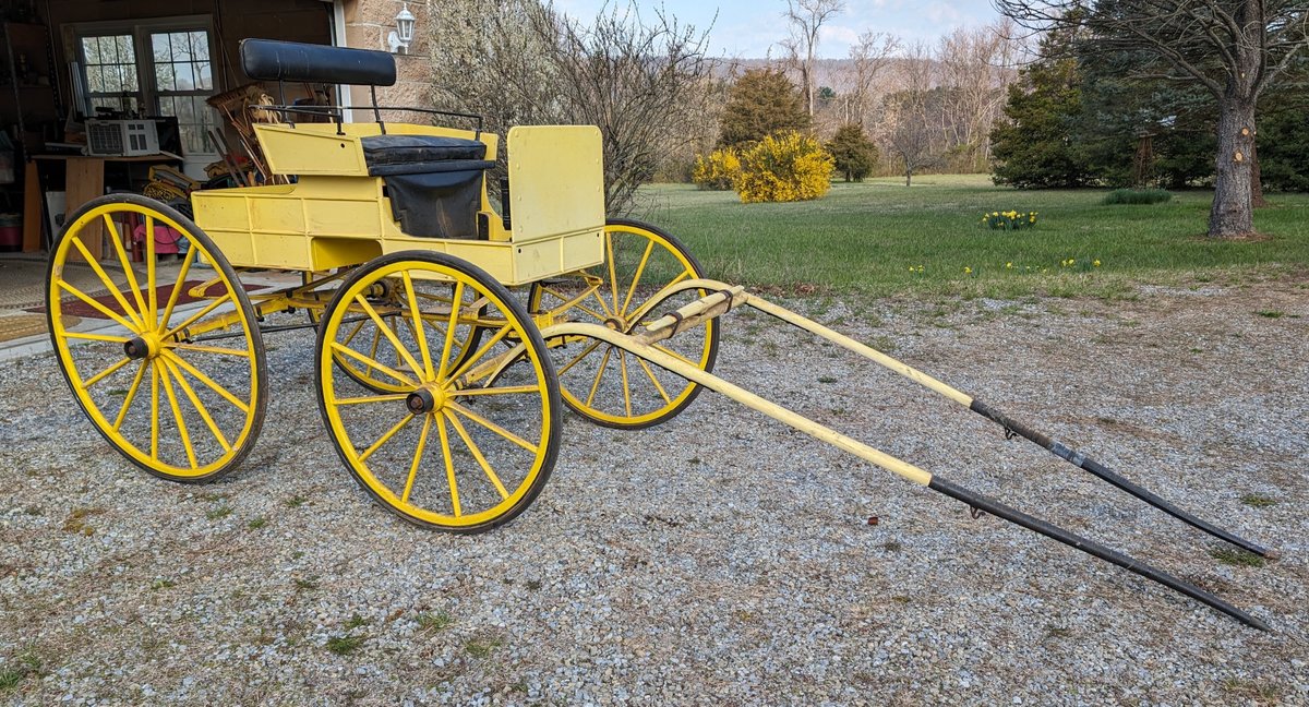 1 Horse Doctors Buggy