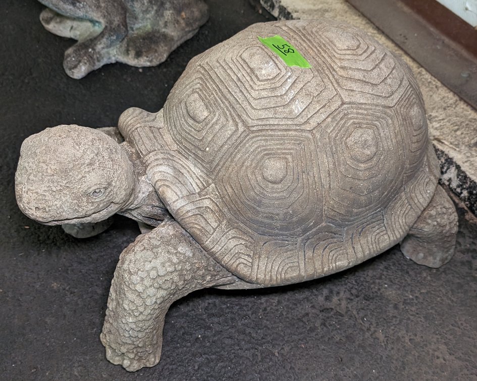 Cement Turtle 