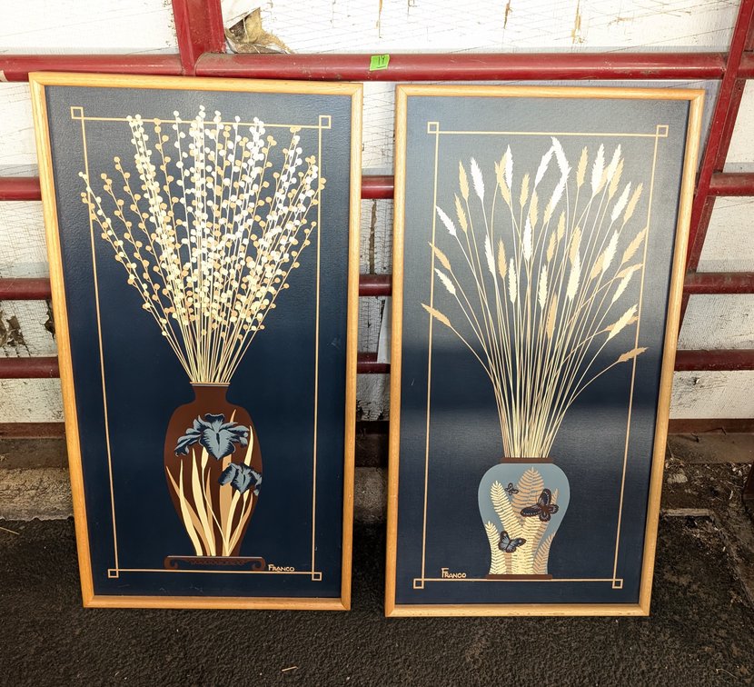 (2) Wood Framed Art Prints by Franco 