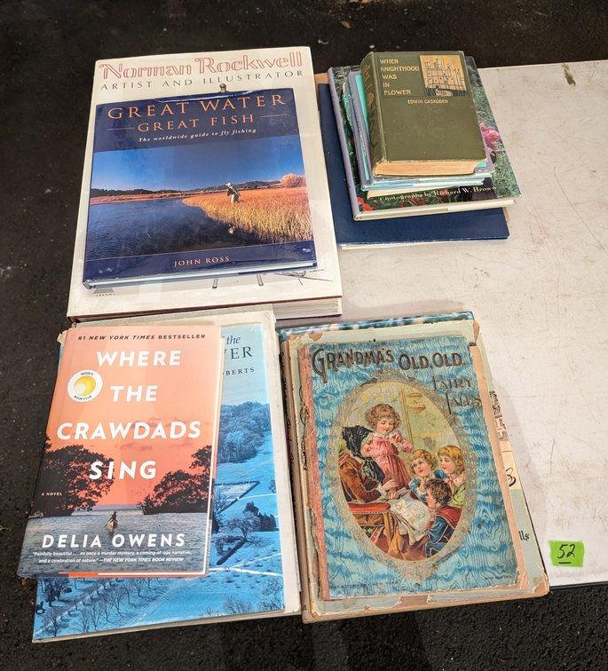 Lot of Misc Books