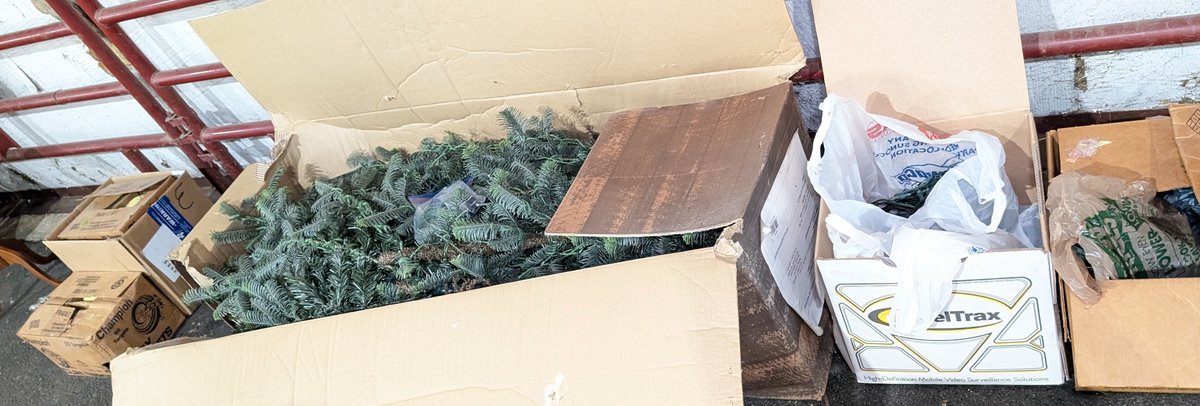 9 Foot Christmas Tree & (2) Boxes Christmas Lights