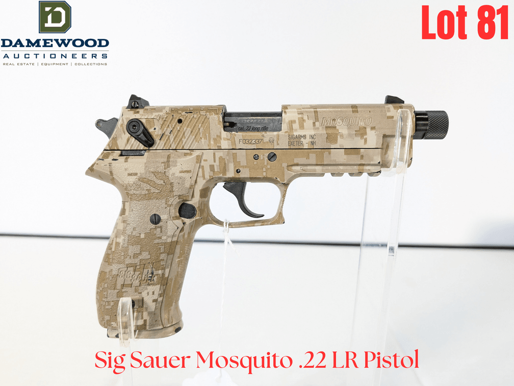Sig Sauer Mosquito .22 LR Pistol