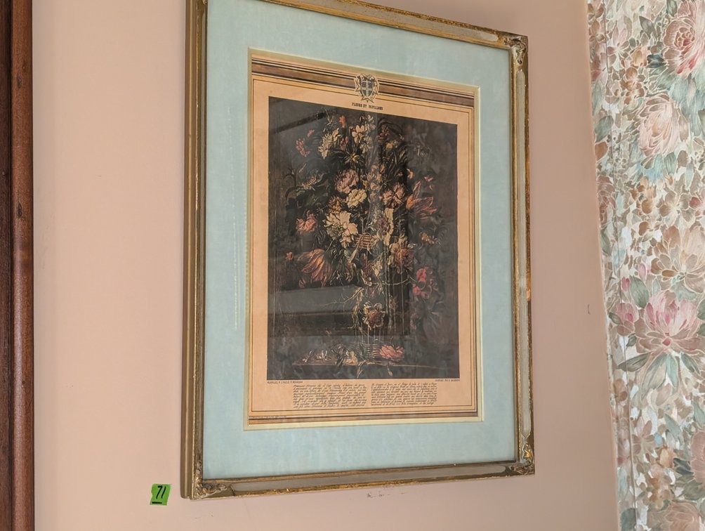 Framed Flower Picture