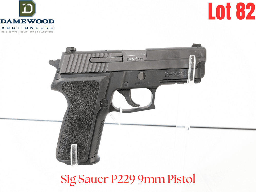 Sig Sauer P229 9mm Pistol