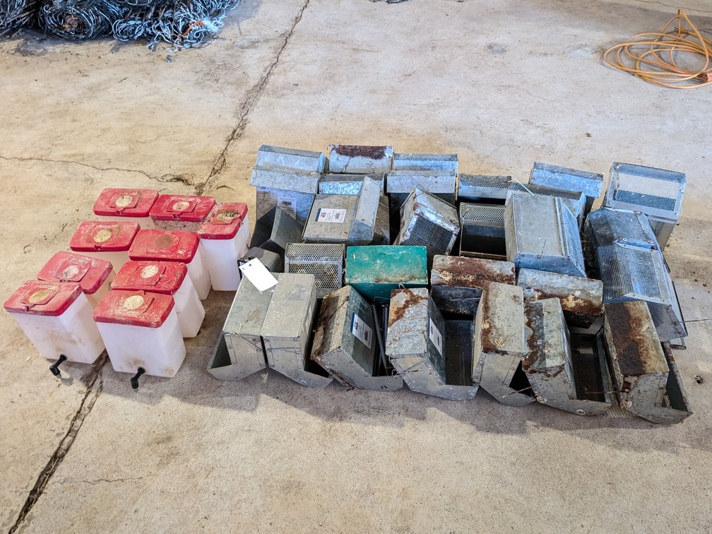 Large Lot of Chick Feeders and Waterers
