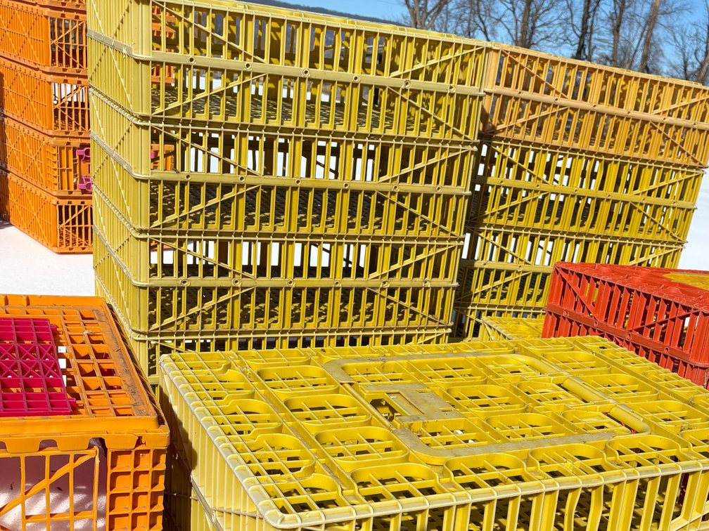 Poultry Transport Crates (Chicken)