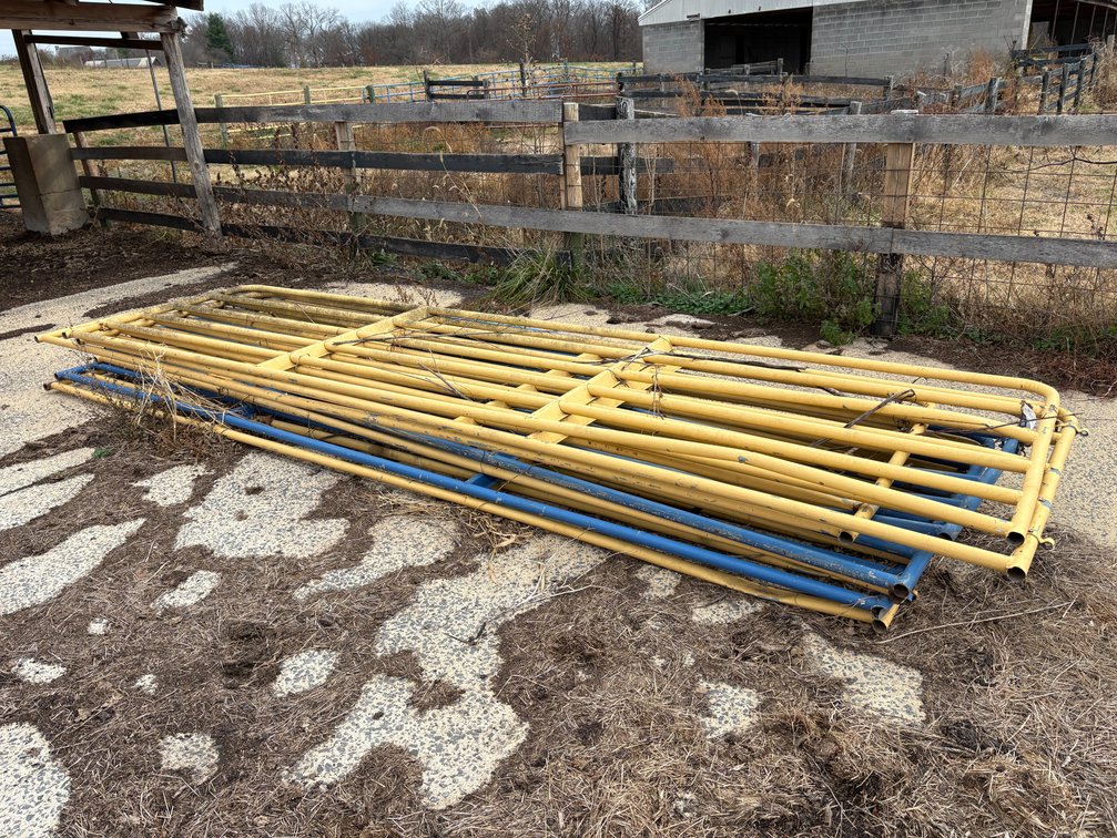 (8) 16ft Pipe Gates